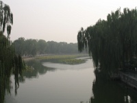 2011China 206